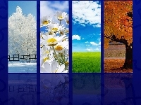 Lato, Zima, Wiosna, Jesień