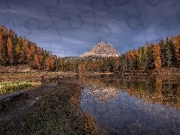 Jesień, Jezioro, Prowincja Belluno, Włochy, Drzewa, Antorno Lake, Góry Dolomity, Mostek, Las, Masyw Tre Cime di Lavaredo