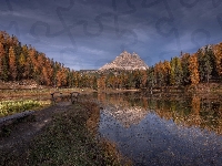 Jesień, Jezioro, Prowincja Belluno, Włochy, Drzewa, Antorno Lake, Góry Dolomity, Mostek, Las, Masyw Tre Cime di Lavaredo