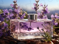 Grafika, Perfumy, Flakon, Lawenda, Kompozycja, Kwiaty
