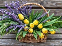 Żółte, Lawenda, Tulipany, Ławka, Koszyk
