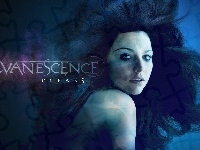 Amy Lee, Evanescence