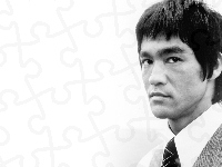 Bruce Lee, Aktor