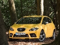 Seat Leon FR