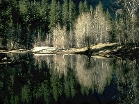 Lesie, Jezioro, W, Odbicie