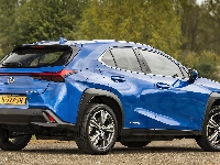 Lexus UX, Electric