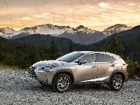 Lexus, NX200t