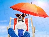 Leżak, Pies, Plaża, Parasol