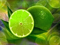 Limonki, Grafika