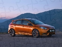 Linia, Ford Focus ST, Nadwozia