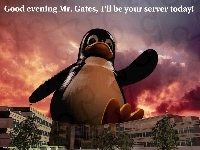 Potężny, Linux, Pingwin