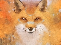 Lis, Grafika