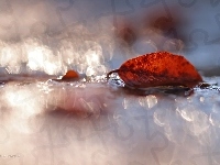 Liść, Bokeh
