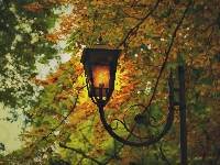 Liście, Park, Jesień, Drzewa, Latarnia