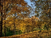 Liście, Park, Niebo, Jesień, Drzewa, Ławka