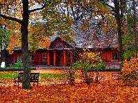 Liście, Budynek, Park, Drzewa, Ławki