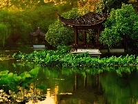 Park, Liście Lotosu, Chiny, Drzewa, Staw, Altanki, Hangzhou