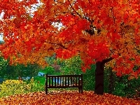 Liście, Drzewo, Kolorowe, Ławka