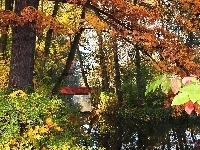 Liście, Jesień, Jezoro, Park, Kolorowe, Most