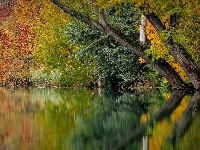 Liście, Drzewa, Odbicie, Jesień, Kolorowe, Jezioro