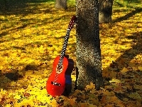 Liście, Gitara, Las, Jesień