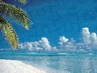 Liście, Chmury, Plaża, Morze, Palm