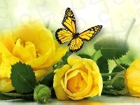 Liście, Róże, Żółte, Motyl