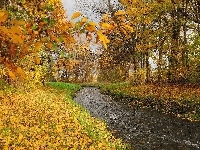 Liście, Rzeka, Park, Jesień