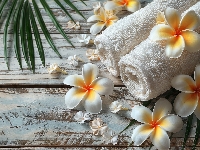 Kwiat, Liście, Plumeria, Kompozycja, Ręczniki