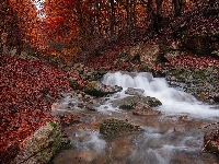 Kamienie, Jesień, Skarpa, Liście, Rzeka, Drzewa, Czerwone