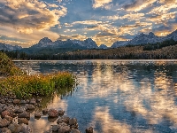 Obłoki, Jezioro, Odbicie, Idaho, Drzewa, Kamienie, Niebo, Góry, Little Redfish Lake, Szuwary, Stany Zjednoczone