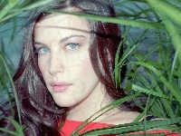 Liv Tyler