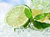 Listki, Pół, Limonki, Lód