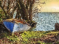 Drzewa, Łódka, Jezioro Balaton, Węgry