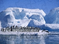 Lodowa, Pingwiny, Góra, Ocean
