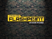 Logo, Operation Flashpoint 2