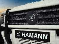 Hamann, Logo, Karbon