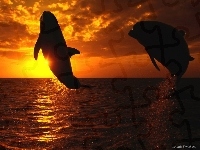 Zachody Śłońca, Delfiny