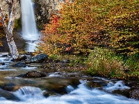 Salto do Chorrillo, Patagonia, Argentyna, Skały, Park Narodowy Los Glaciares, Jesień, Drzewa, Wodospad, Rzeka