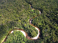 Droga, Brazylia, Z lotu ptaka, Las