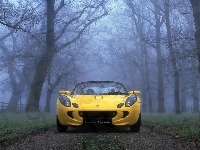 Lotus Elise, Żółty, Przód