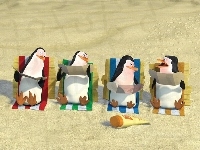 Pingwiny, Pingwiny Z Madagaskaru, The Penguins of Madagascar, Plaża