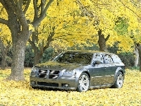 Dodge Magnum, Drzewa