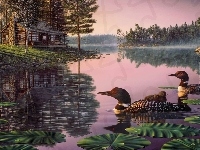 Malarstwo, Kaczki, Jezioro, Kim Norlien