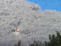 Mały, Zima, Gęsty, Las, Domek