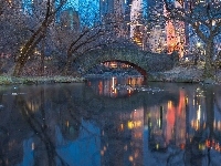 Most, Manhattan, Domy, Nowy Jork, Central Park, Drzewa