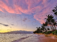 Hawaje, Morze, Wybrzeże, Stany Zjednoczone, Palmy, Plaża, Maui