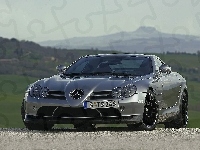 Mercedes Benz SLR, Niemcy