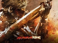 Metal Gear Rising Revengeance, Raiden