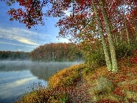 Mgiełka, Jesień, Jezioro, Drzewa